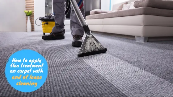 How to apply flea treatment on carpet with end of lease cleaning?